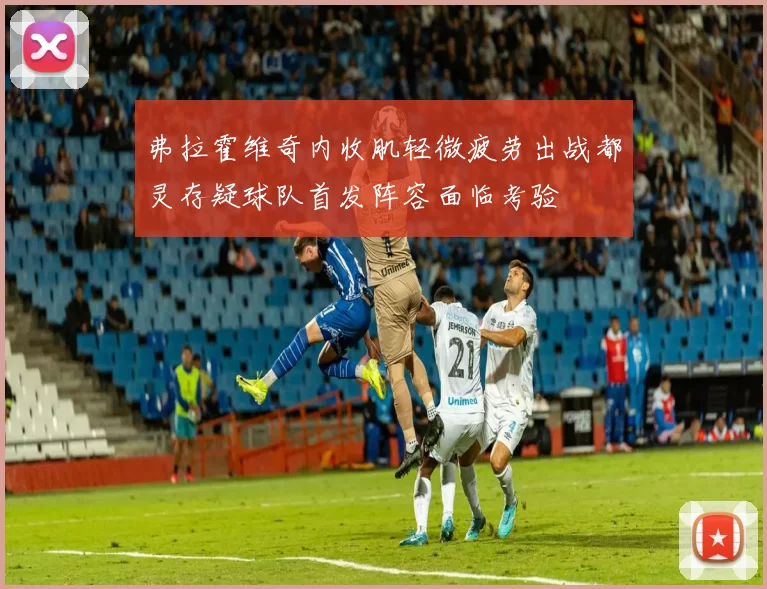 弗拉霍维奇内收肌轻微疲劳出战都灵存疑球队首发阵容面临考验