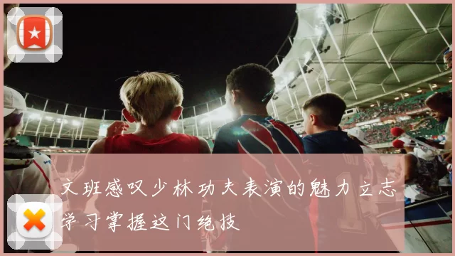 文班感叹少林功夫表演的魅力立志学习掌握这门绝技